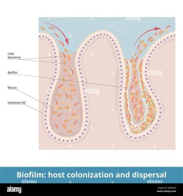 Isospora! Een microscopisch roofdier dat de darmen van zijn gastheer koloniseert